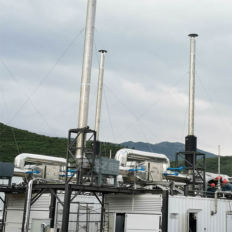 清掉NOX“攔路虎”，實現脫硝大通關——萬純生物質沼氣發電機組尾氣脫硝系統在華北某電站安裝運行