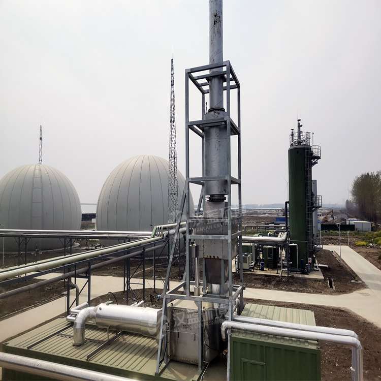 萬純SCR脫硝設備-沼氣發(fā)電機組脫硝