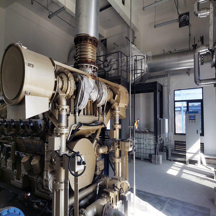 萬純SCR脫硝系統-生物質沼氣機組尾氣脫硝