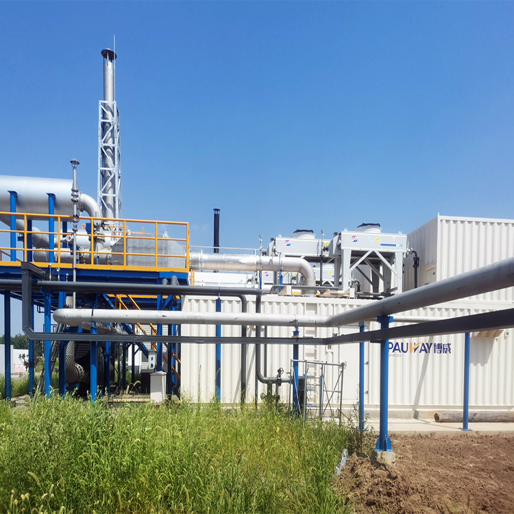 萬純SCR脫硝工程-沼氣發電機組脫硝